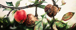 Jerry Walton, Watercolour, The Good, The Bad and The Ugly Medium image. Click to enlarge