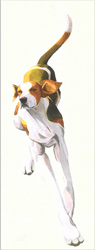 Mary Ann Rogers, Signed limited edition print, Fox Hound 2