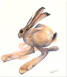 Mary Ann Rogers, Signed limited edition print, Top Speed Medium image. Click to enlarge