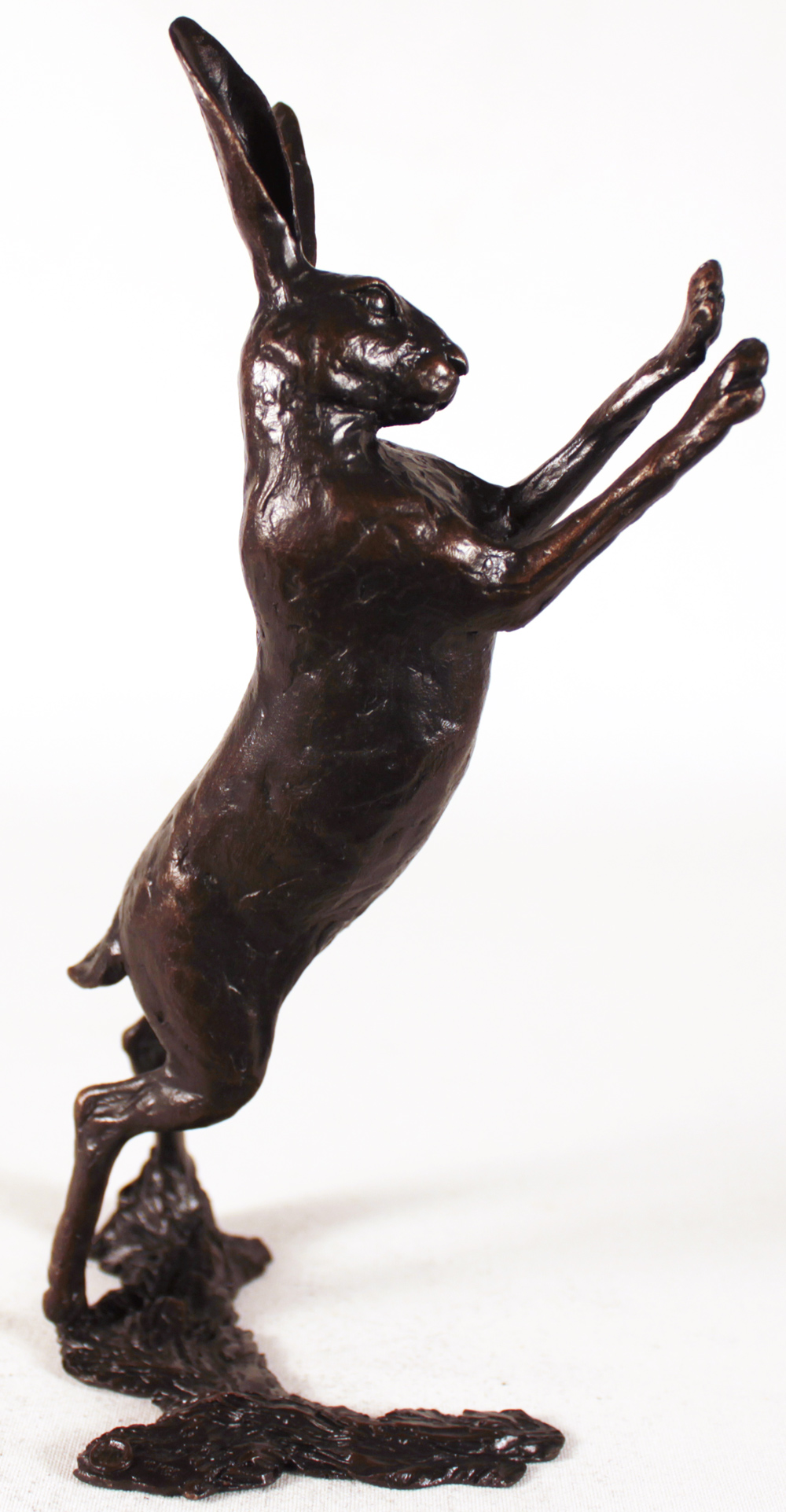 Michael Simpson, Bronze, Medium Hare Boxing