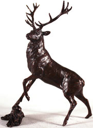 Michael Simpson, Bronze, Highland Stag Medium image. Click to enlarge