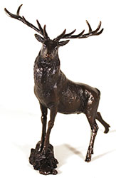 Michael Simpson, Bronze, Highland Prince Medium image. Click to enlarge