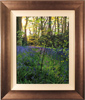 Michael James Smith, Original oil painting on canvas, Bluebells in Little Baddow, Essex Medium image. Click to enlarge