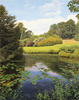 Michael James Smith, Original oil painting on canvas, Lily Pond, Scotney Castle Medium image. Click to enlarge