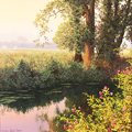 Michael James Smith, Original oil painting on panel, The River Ure Medium image. Click to enlarge