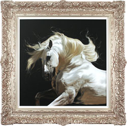 Natalie Stutely, Original oil painting on panel, Andalusian Stallion Medium image. Click to enlarge