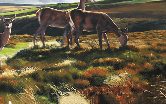 Natalie Stutely, Original oil painting on panel, Stag and Hinds Signature image. Click to enlarge