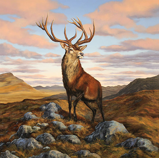 Natalie Stutely, Original oil painting on panel, Imperial Red Stag of Glen Coe No frame image. Click to enlarge