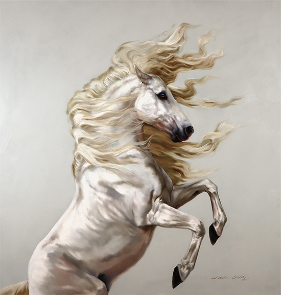 Natalie Stutely, Original oil painting on panel, Andalusian Stallion