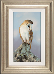 Natalie Stutely, Original oil painting on panel, Barn Owl Medium image. Click to enlarge