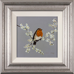 Natalie Stutely, Original oil painting on panel, Robin on Blackthorn Medium image. Click to enlarge