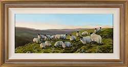 Natalie Stutely, Original oil painting on panel, Swaledale Sheep near Oxnop Medium image. Click to enlarge