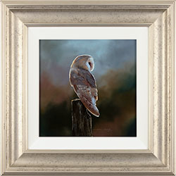 Natalie Stutely, Original oil painting on panel, Barn Owl Medium image. Click to enlarge