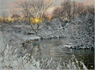 Peter Barker, Original oil painting on panel, Broken Willow Sunset