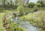 Peter Barker, Original oil painting on panel, Spring Greens Medium image. Click to enlarge