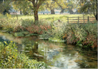 Peter Barker, Original oil painting on panel, October Reflections