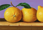 Raymond Campbell, Original oil painting on panel, Lemons Medium image. Click to enlarge