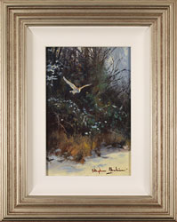 Stephen Hawkins, Original oil painting on panel, Barn Owl in Flight Medium image. Click to enlarge