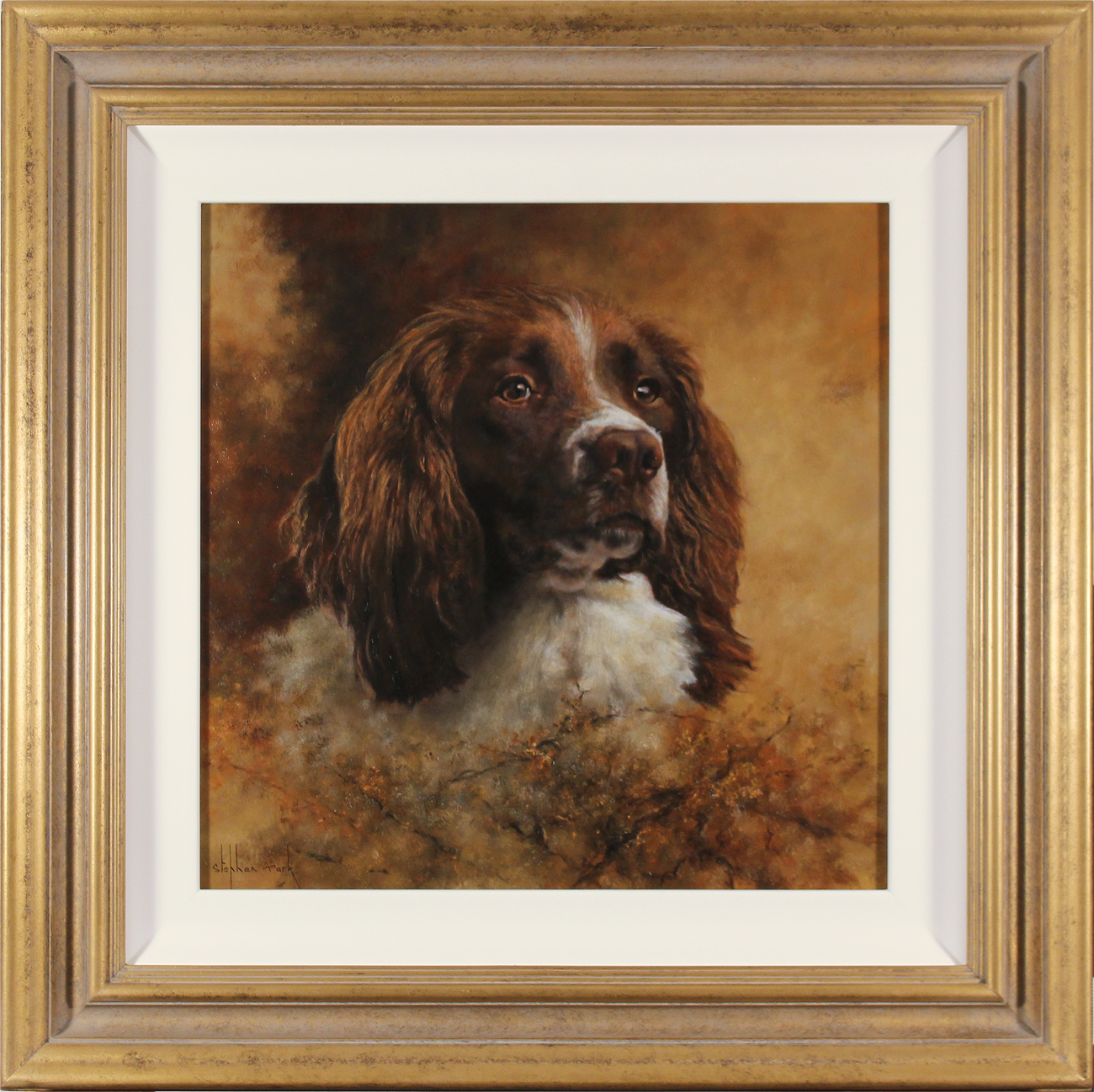 Stephen Park Original oil painting on panel Springer Spaniel