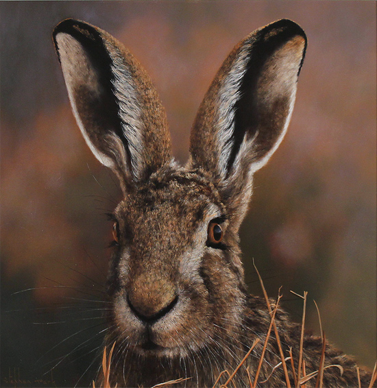 Stephen Park, Original oil painting on panel, The Hare
