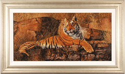 Stephen Park, Original oil painting on panel, Bengal Tiger Medium image. Click to enlarge
