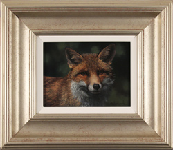 Stephen Park, Original oil painting on panel, Fox Medium image. Click to enlarge