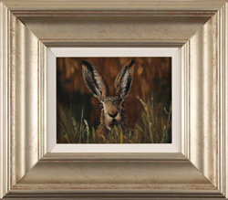 Stephen Park, Original oil painting on panel, Brown Hare Medium image. Click to enlarge