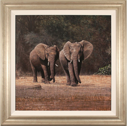 Stephen Park, Original oil painting on panel, Elephants Medium image. Click to enlarge