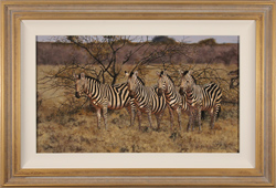 Stephen Park, Original oil painting on panel, Zebra Medium image. Click to enlarge