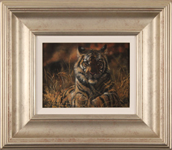 Stephen Park, Original oil painting on panel, Tiger Medium image. Click to enlarge