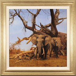 Stephen Park, Original oil painting on panel, African Elephants Medium image. Click to enlarge