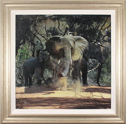 Stephen Park, Original oil painting on panel, Elephants Medium image. Click to enlarge