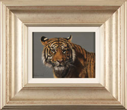Stephen Park, Original oil painting on panel, Tiger Medium image. Click to enlarge