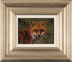 Stephen Park, Original oil painting on panel, Fox Medium image. Click to enlarge