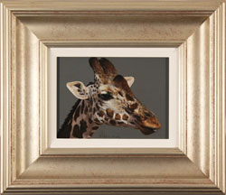 Stephen Park, Original oil painting on panel, Giraffe Medium image. Click to enlarge