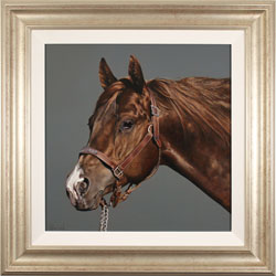 Stephen Park, Original oil painting on panel, Thoroughbred Stallion Medium image. Click to enlarge