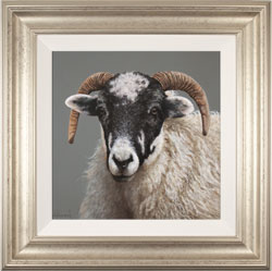 Stephen Park, Original oil painting on panel, Ewe Medium image. Click to enlarge