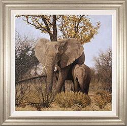 Stephen Park, Original oil painting on panel, Elephant Mother and Calf Medium image. Click to enlarge