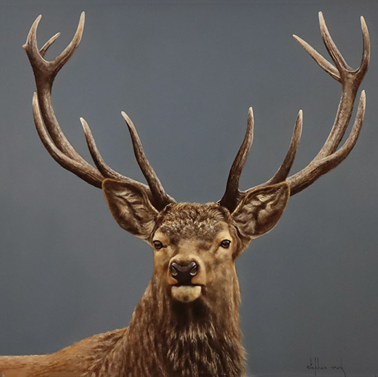 Stephen Park, Original oil painting on panel, Stag