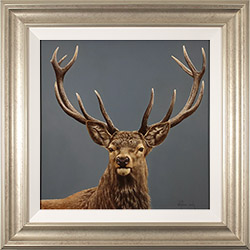 Stephen Park, Original oil painting on panel, Stag