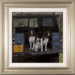 Stephen Park, Original oil painting on panel, Working Dogs Medium image. Click to enlarge