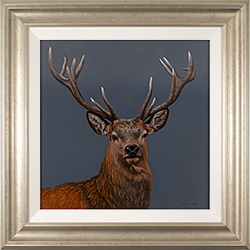 Stephen Park, Original oil painting on panel, Highland Stag