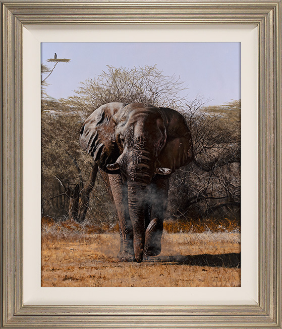 Stephen Park, Original oil painting on panel, Bull Elephant