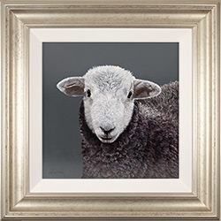 Stephen Park, Original oil painting on panel, Swaledale Lamb