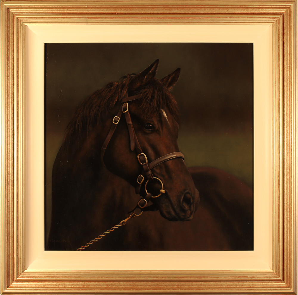 Stephen Park, Original oil painting on panel, Horse Portrait