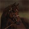 Stephen Park, Original oil painting on panel, Horse Portrait Medium image. Click to enlarge