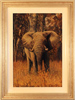 Stephen Park, Original oil painting on panel, Elephant