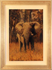 Stephen Park, Original oil painting on panel, Elephant Medium image. Click to enlarge