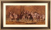 Stephen Park, Original oil painting on panel, Serengeti Zebras
