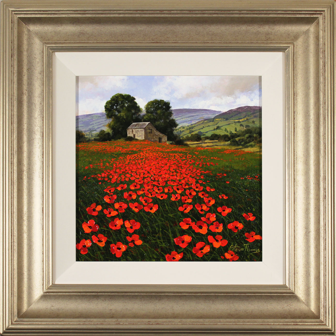 Steve Thoms, Original oil painting on panel, Yorkshire Poppies